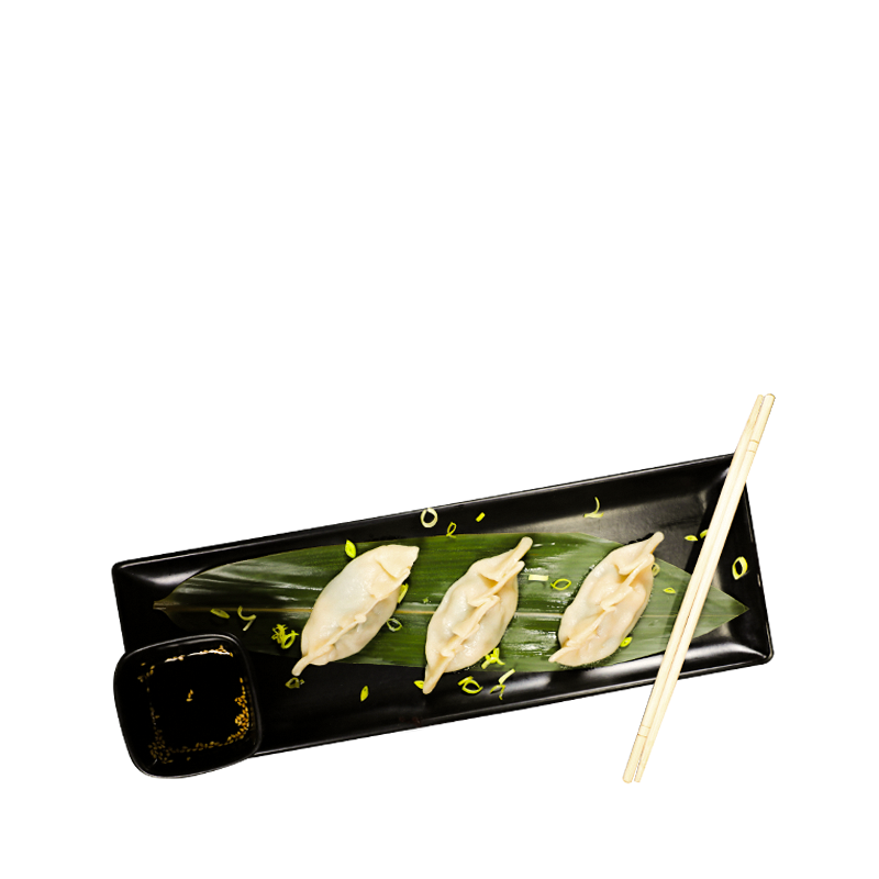 GYOZA VEGAN